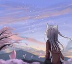  1girl absurdres akinakesu-chan animal_ears black_pants blurry blurry_background brown_jacket clouds cloudy_sky commentary_request depth_of_field facing_away flower grey_hair highres jacket long_hair long_sleeves mountain original outdoors pants petals pink_flower shirt sitting sky solo sunset tail tree_branch very_long_hair white_shirt wind 