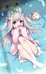  1girl animal_ear_fluff animal_ears animare box cardigan crossed_ankles dress fox heart-shaped_box highres legs_up long_hair long_sleeves looking_at_viewer lying on_back open_cardigan open_clothes pink_cardigan pink_eyes sailor_dress shiromiya_mimi silver_hair sleeves_past_wrists socks torinosu_afro two_side_up valentine virtual_youtuber white_legwear 