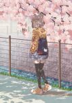  1girl animal_ears backpack bag bangs black_legwear blue_bag blunt_bangs cat_ears cherry_blossoms contemporary dappled_sunlight day from_behind full_body hands_in_pockets highres hood hoodie kageyasu nia_(xenoblade) outdoors shoes short_hair shorts silver_hair sneakers solo sunlight thigh-highs walking white_shorts xenoblade_chronicles_(series) xenoblade_chronicles_2 yellow_eyes yellow_footwear yellow_hoodie 