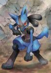  clenched_teeth commentary_request crack full_body gen_4_pokemon highres kikuyoshi_(tracco) legs_apart looking_at_viewer lucario pokemon pokemon_(creature) red_eyes solo spikes standing teeth toes yellow_fur 