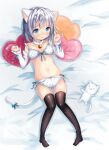  1girl animal_ears bell black_legwear blue_eyes blush bra breasts cat_ears cat_girl cat_tail embarrassed heart heart_pillow highres jingle_bell kohaku_muro looking_at_viewer navel on_bed original panties pillow polka_dot polka_dot_bra polka_dot_panties short_hair silver_hair small_breasts solo tail thigh-highs underwear 