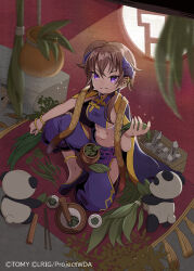  1girl abs black_shoes brown_hair character_name closed_mouth copyright_notice highres holding holding_leaf kei_s01 leaf looking_at_viewer medium_hair multicolored_hair official_art panda pants purple_hair purple_pants purple_shirt shirt shoes smile solo streaked_hair violet_eyes wixoss 