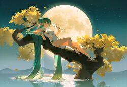  1girl absurdly_long_hair absurdres commentary_request full_moon green_eyes green_hair hatsune_miku highres leaf long_hair looking_at_viewer moon reflection reflective_liquid requiem_(requiem_art) shaohua_hatsune_miku sky socks solo star_(sky) starry_sky tree very_long_hair vocaloid water white_socks 