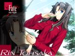  fate/stay_night tagme tohsaka_rin type-moon 