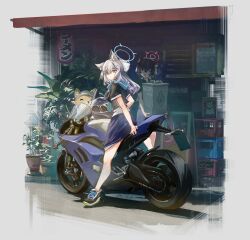  1boy 2girls alternate_costume animal_ear_fluff animal_ears aqua_necktie aqua_scarf black_hair black_shirt black_shoes blue_archive blue_halo blue_skirt border box cat_ears commentary_request cross_hair_ornament full_body grey_hair hair_between_eyes hair_ornament halo highres holding holding_box long_hair looking_at_viewer master_shiba_(blue_archive) motor_vehicle motorcycle multiple_girls necktie outdoors plant potted_plant red_halo scarf serika_(blue_archive) shiba_inu shiroko_(blue_archive) shirt shoes short_sleeves sidelocks skirt sneakers taru_kira twintails vehicle_request very_long_hair white_border wolf_ears 