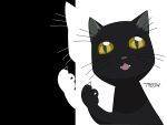  black bleach cat shihouin_yoruichi silhouette 