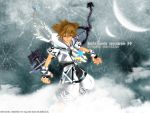  kingdom_hearts sora tagme 