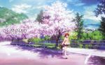  brown_eyes brown_hair cherry_blossoms clannad cloud furukawa_nagisa highres school_uniform short_hair sky street tree walking wallpaper 
