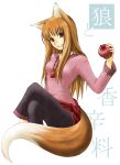  apple apples brown_hair food fruit holding holding_fruit holo kazu_(pixiv8325) long_hair red_eyes spice_and_wolf tail wolf_ears 