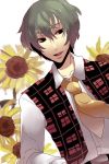  flower genderswap kazami_yuuka lowres male necktie plaid_vest smile sunflower touhou vest 