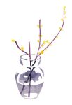  artist_name blending flower hirasawa_minami mixed_media no_humans no_lineart original partially_immersed photo-referenced plant refraction simple_background still_life traditional_media transparent vase water white_background wintersweet yellow_flower 