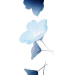  blue_flower blue_theme falling flower gradient highres limited_palette nemophila_(flower) no_humans original pale_color shion_08 simple_background still_life vignetting white_background 