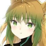  1girl :t animal_ear_fluff animal_ears atalanta_(fate) bangs black_shirt blush braid brown_hair cat_ears closed_mouth eyebrows_visible_through_hair fate/apocrypha fate_(series) gradient_hair green_eyes green_hair hair_between_eyes high_collar looking_at_viewer maya_g multicolored_hair portrait pout shirt simple_background solo white_background 