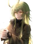  1girl absurdres antenna_hair arknights bangs black_gloves black_shirt coffee coffee_mug cup eyebrows_visible_through_hair gavial_(arknights) gloves green_hair green_jacket hair_between_eyes highres holding holding_cup huge_filesize jacket light long_hair looking_away looking_to_the_side mug official_alternate_costume ozeu0916 pointy_ears popped_collar portrait shirt sidelocks simple_background smile solo turtleneck white_background yellow_eyes 