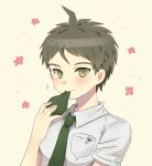  1boy absurdres ahoge bangs blush breast_pocket brown_hair collared_shirt commentary dangan_ronpa_(series) dangan_ronpa_2:_goodbye_despair dbals0807 flower green_eyes green_neckwear highres hinata_hajime holding looking_at_viewer male_focus necktie pocket portrait shirt smile solo striped upper_body white_shirt 