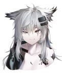  1girl absurdres animal_ears arknights bangs bare_shoulders collarbone cropped_torso eyebrows_visible_through_hair fang fang_out grey_eyes hair_between_eyes hair_ornament hairclip highres kuki_panda_(wkdwnsgk13) lappland_(arknights) long_hair looking_at_viewer oripathy_lesion_(arknights) scar scar_across_eye silver_hair simple_background smile solo uneven_eyes upper_body white_background wolf_ears 