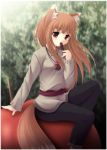  1girl brown_hair eating holo long_hair red_eyes spice_and_wolf tail wolf_ears yokuran 