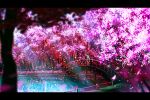  bad_id bridge cherry_blossoms letterboxed scenery water 