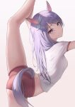  1girl animal_ears arched_back ass bare_legs breasts cowboy_shot crop_top hair_ribbon highres horse_ears horse_girl horse_tail leg_lift leg_up long_hair looking_at_viewer marinesnow medium_breasts mejiro_mcqueen_(umamusume) micro_shorts midriff purple_hair red_shorts ribbon shirt short_shorts short_sleeves shorts simple_background smile solo split standing standing_on_one_leg standing_split tail thighs umamusume violet_eyes white_background white_shirt 