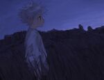  1boy bangs closed_mouth from_side grass highres hunter_x_hunter killua_zoldyck male_focus outdoors profile shirt sky solo spiky_hair standing star_(sky) tall_grass toripippi_7 white_shirt 