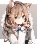  1girl :&lt; absurdres animal_ear_fluff animal_ears bangs blue_bow blue_eyes blush bow braid brown_hair cat_ears closed_mouth collared_shirt doily eyebrows_visible_through_hair frilled_shirt_collar frills grey_background hair_between_eyes hands_up heripiro high-waist_skirt highres interlocked_fingers long_hair long_sleeves looking_at_viewer original puffy_long_sleeves puffy_sleeves shirt skirt sleeves_past_wrists solo two-tone_background upper_body white_background white_shirt 