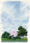  border bush cherry_blossoms clouds cloudy_sky grass highres nature no_humans original outdoors road sawitou_mizuki scenery sky traditional_media tree white_border white_sky 