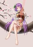  1girl absurdres ailu_elf bangs barefoot blurry blurry_background blush branch breasts chain cherry_blossoms daisy dress flower full_body hair_flower hair_ornament hand_up highres holding holding_instrument instrument long_hair looking_at_viewer medium_breasts outdoors pink_background purple_hair simple_background sitting solo toes touhou tsukumo_benben very_long_hair violet_eyes white_dress white_flower 