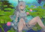  1girl animal_ears arm_support artist_name bangs bare_legs blush breasts commentary_request dated dema_hmw dress feet_out_of_frame fish flower frog grey_dress hair_over_one_eye highres long_hair looking_at_viewer medium_breasts open_mouth orange_eyes original partially_submerged pink_flower pond short_sleeves silver_hair solo water wet wet_clothes wet_hair 