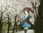  cardigan cherry_blossoms genderswap kyon kyonko sawa2 school_uniform solo suzumiya_haruhi_no_yuuutsu thighhighs 