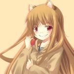  animal_ears holo lowres spice_and_wolf wolf_ears 