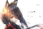  1girl absurdres animal_ears bangs black_hair eyebrows_visible_through_hair eyes_visible_through_hair fox_ears from_side hair_between_eyes highres hololive huge_filesize long_hair messy_hair parted_lips portrait red_eyes shirakami_fubuki sidelocks simple_background solo virtual_youtuber white_background yu_hydra 