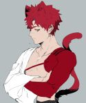  1boy animal_ears bangs blush brown_eyes cat_boy cat_ears cat_tail clothing_request collarbone crossed_arms emiya_shirou fang fate_(series) grey_background highres kemonomimi_mode long_sleeves looking_at_viewer male_focus profile redhead short_hair sketch solo spiky_hair suzumetarou tail upper_body 