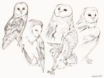  animal_focus barn_owl bird clivenzu commentary dated english_commentary faux_traditional_media grey_background highres no_humans original procreate_(medium) signature simple_background 