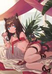  1girl animal_ear_fluff animal_ears armlet bangs barefoot blue_eyes bracelet breasts brown_hair cat cat_ears cat_tail choker closed_mouth dark_skin dark-skinned_female headpiece jewelry long_hair looking_at_viewer navel original peroncho small_breasts solo tail thigh_strap 