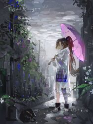  1girl black_cat brown_hair cat chinese_commentary closed_mouth commentary_request commission curtained_hair dated english_text flower full_body grey_footwear grey_sky highres holding holding_umbrella kneehighs long_hair long_sleeves original outdoors parted_bangs pink_umbrella plaid_clothes plaid_skirt ponytail purple_skirt purple_socks rain see-through see-through_raincoat shirt single_sock skirt sky socks solo thank_you umbrella vihua6 violet_eyes white_flower white_shirt 