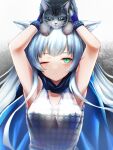  1girl 3_(sanyako1) animal arknights armpits arms_up bangs bare_arms bare_shoulders blue_cape blue_gloves cape cat commentary_request dress gloves green_eyes grey_dress highres holding holding_animal holding_cat infection_monitor_(arknights) long_hair looking_at_viewer one_eye_closed rosmontis_(arknights) silver_hair sleeveless sleeveless_dress solo upper_body 