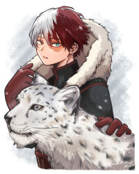  1boy aqua_eyes black_coat boku_no_hero_academia border coat earrings fur-trimmed_coat fur_trim gloves hair_between_eyes heterochromia highres hood hood_down jewelry male_focus michiru_mha multicolored_hair parted_lips red_gloves redhead scar scar_across_eye short_hair snow snow_leopard todoroki_shouto twintails two-tone_hair upper_body white_border white_fur white_hair 