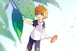  1boy alternate_costume arm_up bad_id bad_pixiv_id black_shorts blonde_hair blue_eyes blurry child depth_of_field dew_drop flower holding holding_flower kingdom_hearts kingdom_hearts_ii leaf looking_up male_focus mini_person miniboy open_mouth red_flower roxas shirt short_hair shorts smile solo spiky_hair t-shirt upper_body vocon walking water_drop white_shirt wind 