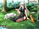  blue_eyes breasts cat china_dress chinese_clothes choker dog flower forest grass hair_ribbon highres jewelry kafu long_hair mabinogi nao nature ribbon river side_slit sitting sunbeam sunlight thigh-highs thighhighs tight tree twintails wallpaper white_hair 