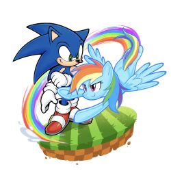  1boy 1girl blue_fur color_connection east-west_crossover exitstarz furry furry_male gloves grass green_eyes green_hill_zone hedgehog_boy highres multicolored_hair my_little_pony my_little_pony:_friendship_is_magic pegasus pony_(animal) rainbow_dash rainbow_hair rainbow_tail rainbow_trail red_shoes shoes sonic_(series) sonic_the_hedgehog trait_connection white_gloves 