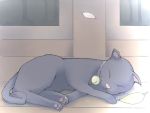  bell cat cat_focus dos_cat no_humans os sleeping 