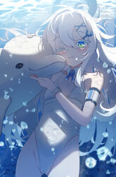  1girl :3 air_bubble animal beluga_whale blue_archive blue_eyes blue_halo blue_ribbon bubble cheek_press colored_eyelashes commentary detached_collar groin hair_between_eyes hair_ornament halo highleg highleg_one-piece_swimsuit highres holding holding_animal light_blush long_hair long_single_sidelock looking_at_viewer mikumiku37 multicolored_eyes one-piece_swimsuit one_eye_closed orca_hair_ornament ribbon sayuri_(blue_archive) solo swimsuit underwater white_eyelashes white_hair white_one-piece_swimsuit x_hair_ornament 