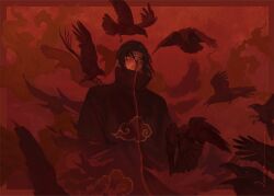  1boy akatsuki_uniform bird crow dango_yum floating_hair konohagakure_symbol looking_at_viewer male_focus naruto_(series) naruto_shippuuden nose red_eyes red_theme sharingan short_hair sidelocks signature solo straight-on uchiha_itachi 