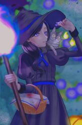  1girl animal animal_on_shoulder basket black_dress black_hair black_hat cat commentary_request dress grey_cat halloween hat highres holding long_hair looking_at_viewer night nuko1110 original puffy_sleeves pumpkin purple_hair solo staff violet_eyes witch witch_hat 