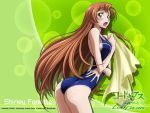  blush breasts brown_hair code_geass code_geass:_lost_colors green_eyes long_hair one-piece_swimsuit open_mouth school_swimsuit shirley_fenette sideboob swimsuit towel 