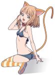  1girl amano_yo-ki animal_ears ass bikini black_bikini breasts butt_crack cat_ears cat_girl cat_tail collar fang from_side full_body green_eyes light_brown_hair looking_at_viewer open_mouth original shadow sitting small_breasts smile solo striped striped_legwear swimsuit tail thigh-highs wariza 