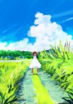  1girl ^_^ arms_up backlighting bangs bare_arms bare_shoulders black_hair blue_sky bush child closed_eyes clouds cloudy_sky day dress facing_viewer grass grin happy legs_apart long_hair maeya_susumu medium_dress mountainous_horizon no_lineart no_nose original outdoors path pleated_dress sandals scenery shade sky sleeveless sleeveless_dress smile solo standing straight-on straight_hair summer sundress white_dress white_footwear wide_shot 