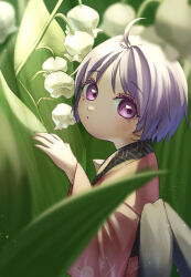  1girl absurdres ahoge blurry closed_mouth commentary_request depth_of_field flower hasukappu highres japanese_clothes kimono lily_of_the_valley long_sleeves looking_at_viewer mini_person minigirl missing_headwear obi outdoors pink_kimono purple_hair sash short_hair solo sukuna_shinmyoumaru touhou violet_eyes white_flower wide_sleeves 