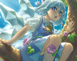  1girl blue_bow blue_dress blue_eyes blue_hair bow cirno collared_shirt commentary_request detached_wings dress flower hair_bow hasukappu highres ice ice_wings looking_at_viewer morning_glory neck_flower open_mouth pinafore_dress puffy_short_sleeves puffy_sleeves purple_flower shirt short_sleeves sitting sitting_on_branch sleeveless sleeveless_dress solo sunflower sweat tan tanned_cirno touhou white_shirt wings 