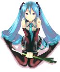  blue_hair hatsune_miku kitagawa_unagi kitakanaung spring_onion thighhighs twintails vocaloid 